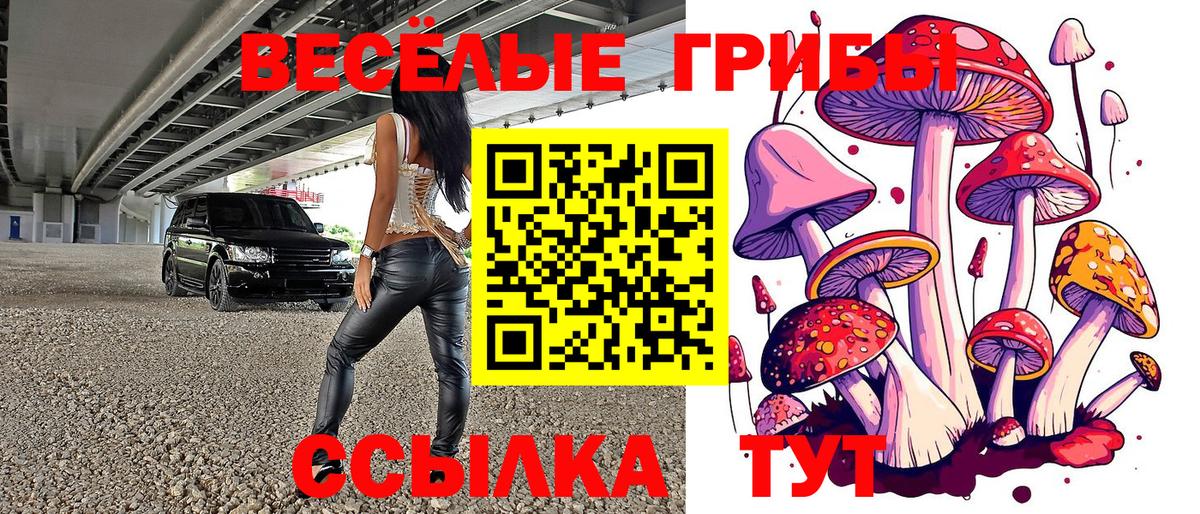 Мелеуз  Псилоцибиновые грибы MAGIC MUSHROOMS  Вход с VPN 
